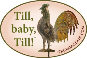 Till, Baby, Till