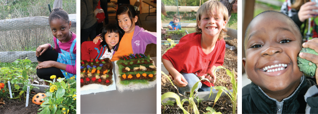 Sustainable CAPE_Mission page_photo